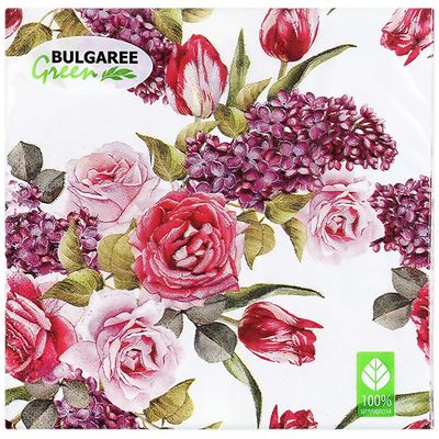 BGREEN 3сл 20шт 33*33см Салфетки бумажные Весенний мотив