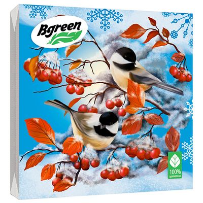 Салфетки бумажные новогодние BGREEN 3сл 20шт 33*33см Зимние пташки