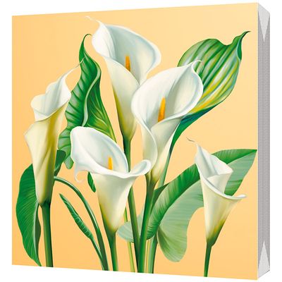 BGREEN 3сл 20шт 33*33см Салфетки бумажные Каллы (21 new)