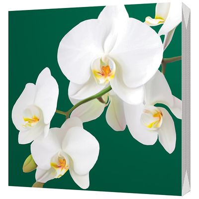 Салфетки бумажные BGREEN 3сл 20шт 33*33см Орхидеи (21 new)