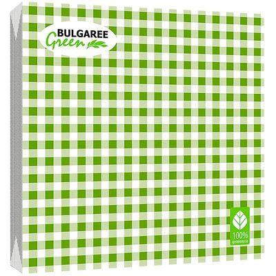 BGREEN 2сл 20шт 33*33см  Салфетки бумажные Клетка зеленая