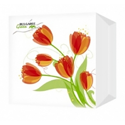 BGREEN 1сл 100шт 24*24см Салфетки бумажные Тюльпаны