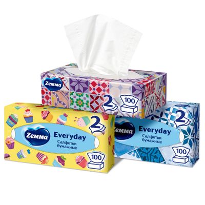Бумажные салфетки ZEMMA Everyday 100шт 2сл Everyday *3