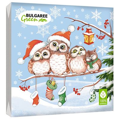 BGREEN 3сл 20шт 33*33см Салфетки бумажные В ожидании чуда