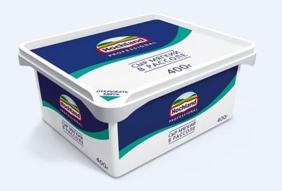 Сыр мягкий Hochland Professional в рассоле, ванночка, 480г