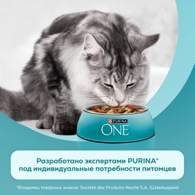 Влажный корм для кошек Purina One говядина 75г