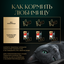 Влажный корм для кошек Sheba Ломтики в соусе с говядиной, 28х75г
