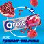 Жевательная резинка Orbit White Гранат-малина, без сахара,13,6 г