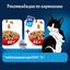 Сухой корм Феликс Двойная Вкуснятина С говядиной 600г