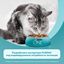 Влажный корм для кошек Purina One говядина 75г