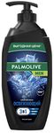Гель для душа PALMOLIVE MEN 750мл "Северный океан" (Освежающий) 3 в1