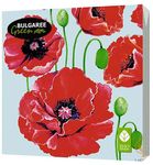 Салфетки бумажные BGREEN 3сл 20шт 33*33см Маки