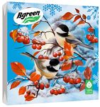 Салфетки бумажные новогодние BGREEN 3сл 20шт 33*33см Зимние пташки