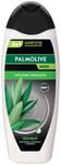 Шампунь для волос PALMOLIVE MEN 450мл против перхоти с экстрактом Шалфей