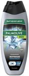 Гель для душа PALMOLIVE MEN 450мл Арктический ветер