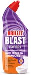 Средство дезинфицирующее Brillit Blast 750мл для туалета Сочный цитрус