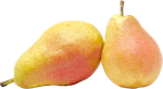 Груша Аббат 1кг (АБР)
