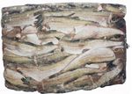 Минтай 30+ 22кг