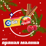 Жевательная резинка Orbit Пряная малина без сахара, 13,6 г