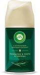 Освежитель воздуха Air Wick Freshmatic Noel 250мл